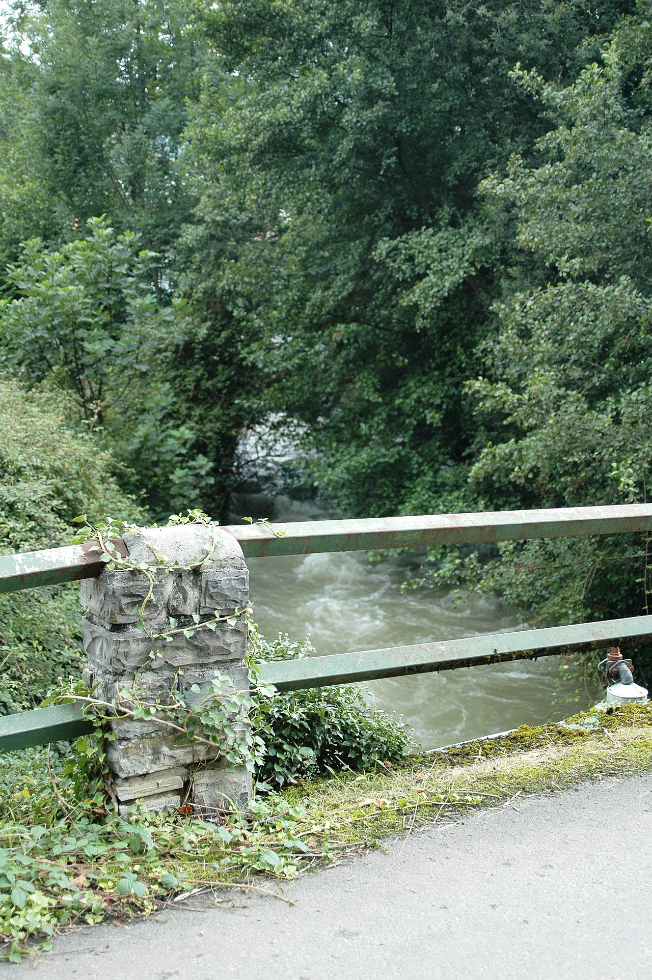 Cromlechs d'Ilarrita à Lecumberry